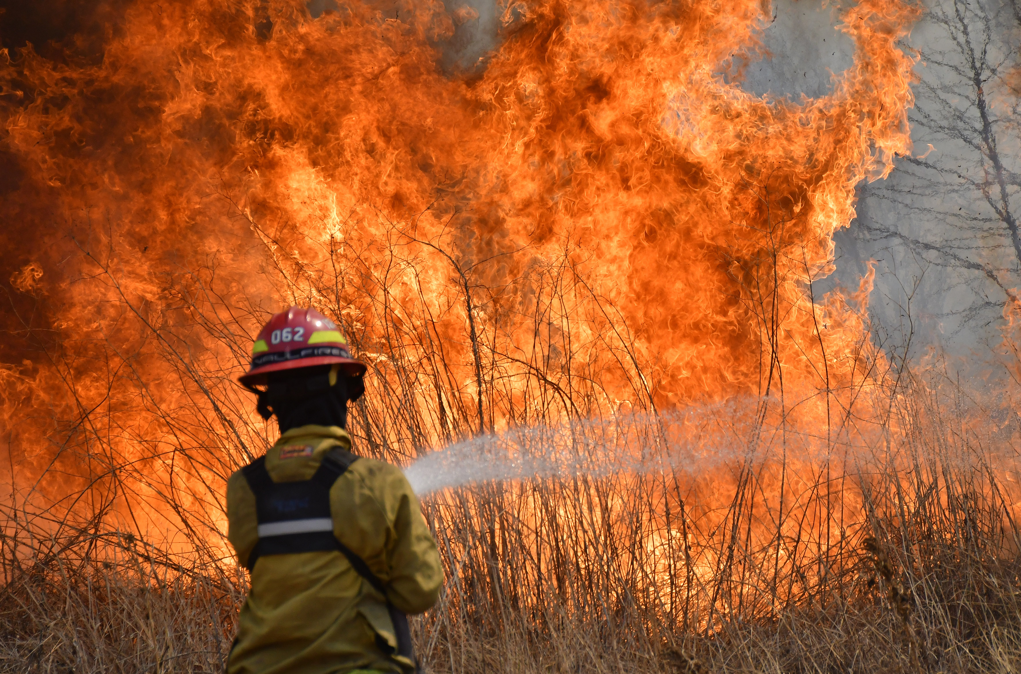 El-Argentino-Incendios forestales en Córdoba.