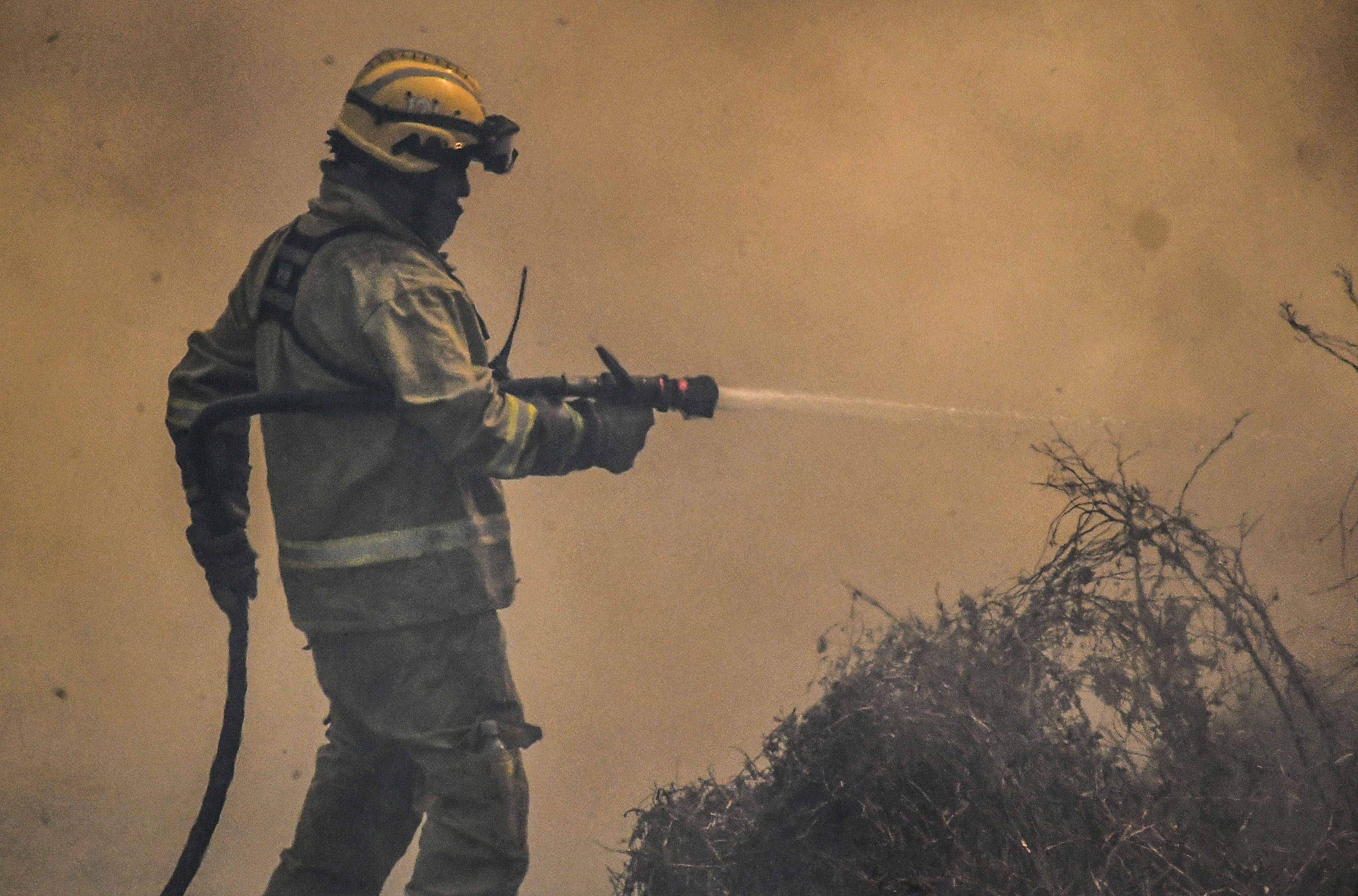 El-Argentino-Incendios forestales en Córdoba.