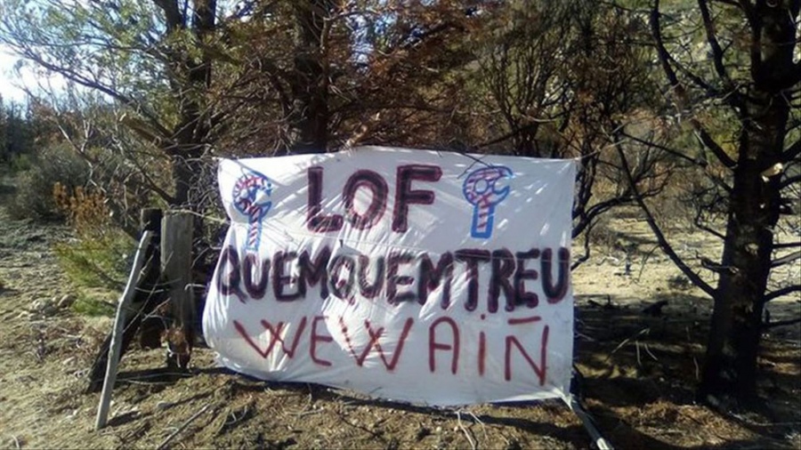 El-Argentino-Lof