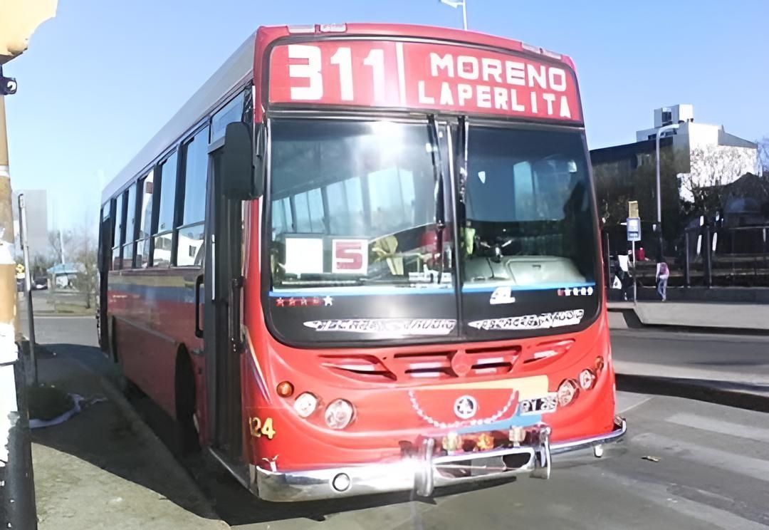 El-Argentino-Colectivo 311.