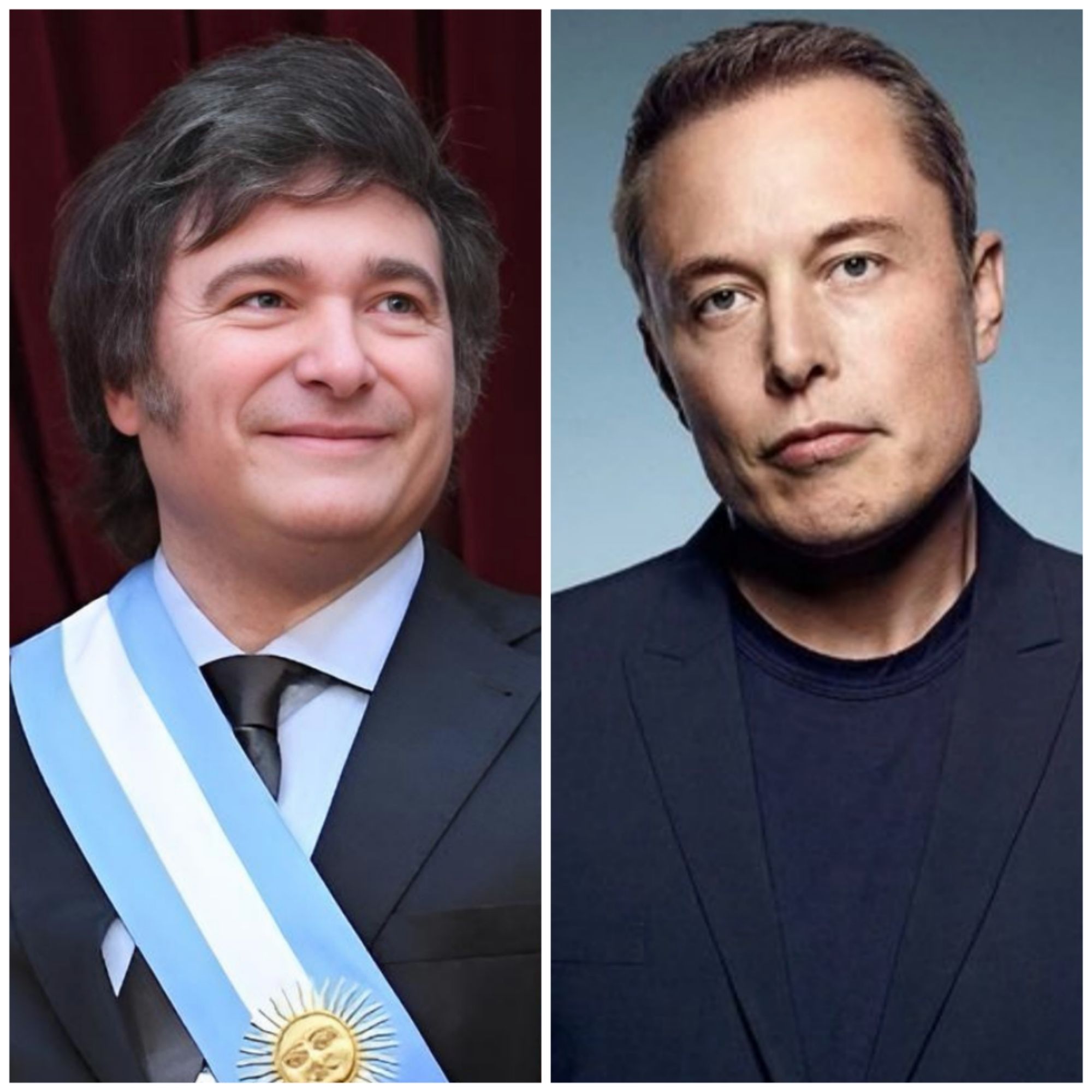 El Argentino Diario-Javier Milei-Elon Musk.