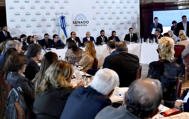 El Argentino Diario-Plenario de Comisiones del Senado.