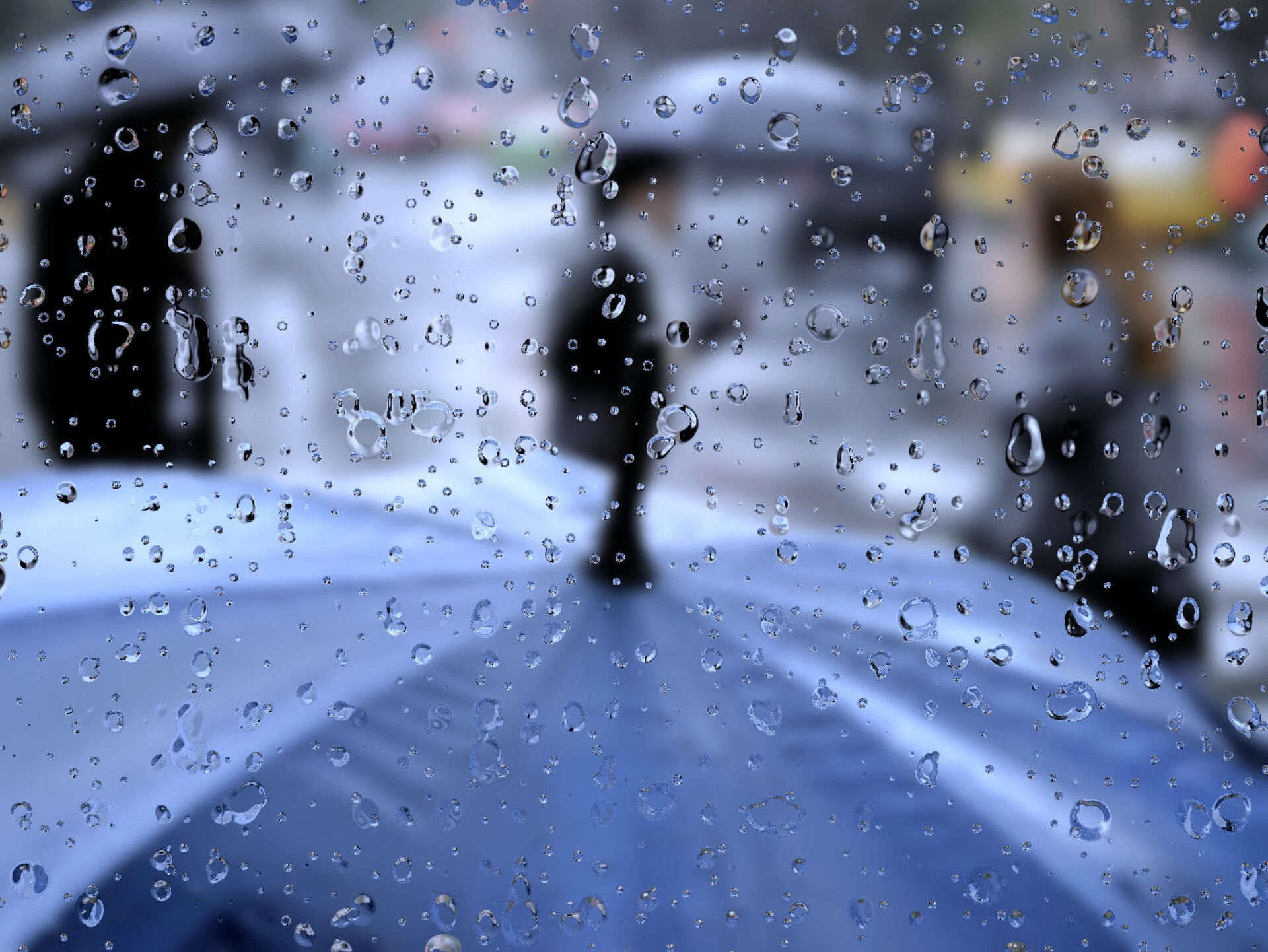 El Argentino Diario-Lluvia-Clima-Viento.