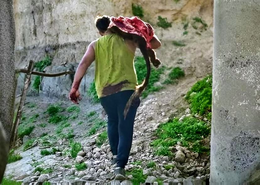 El Argentino Diario-Vecinos de San Pedro carnearon vacas en ruta 9.
