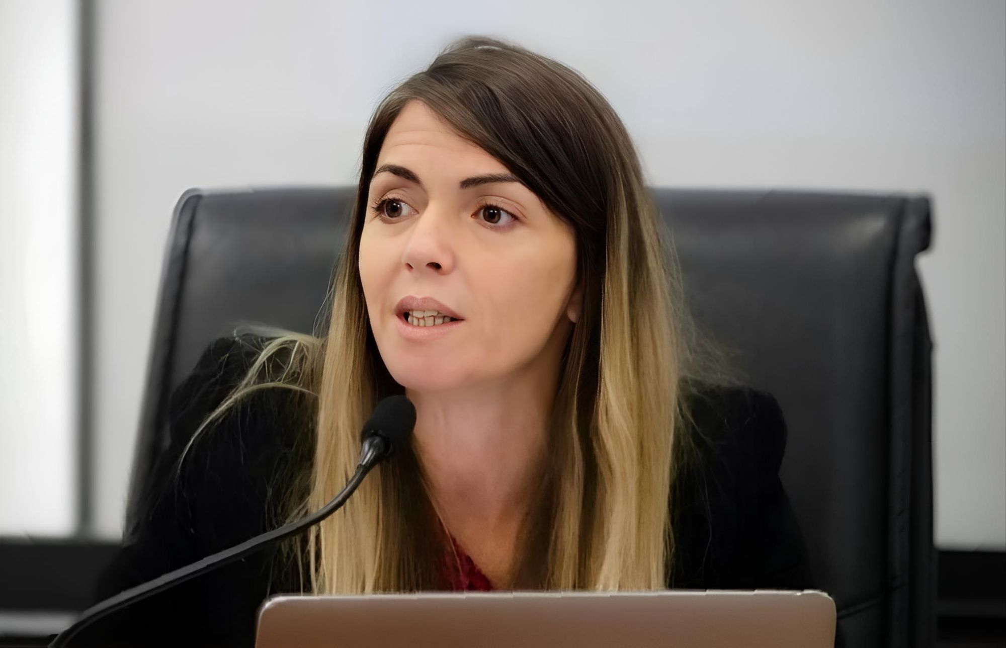 El Argentino Diario-La jueza Karina Andrade.