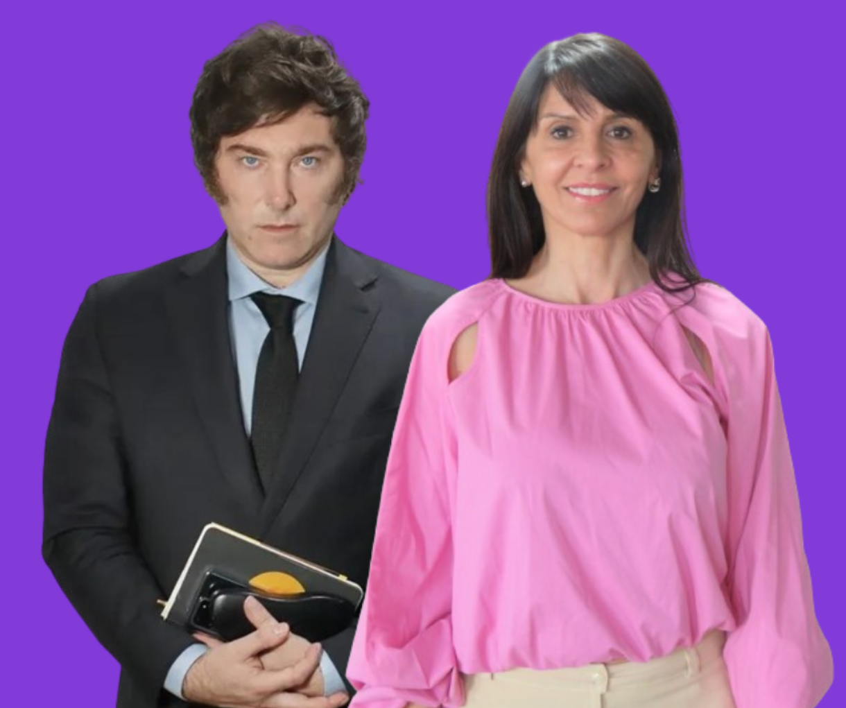 El Argentino Diario-Captura de la web de la diputada lorevillaverde.com