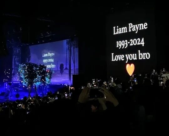 El Argentino Diario-Zayn Malik, Liam Payne, One Direction, homenaje, concierto en México.