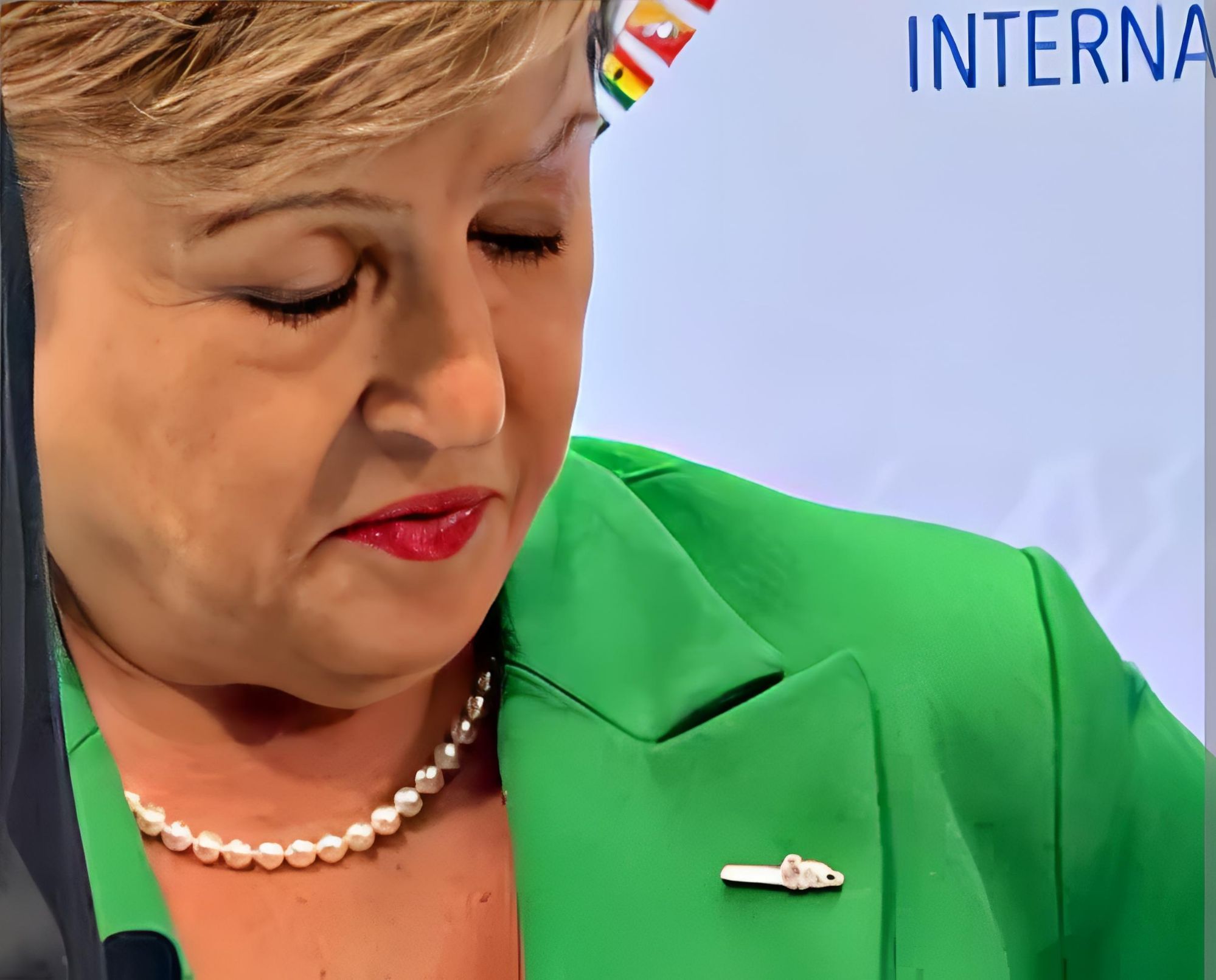 El Argentino Diario-Kristalina Georgieva con pin de motosierra.
