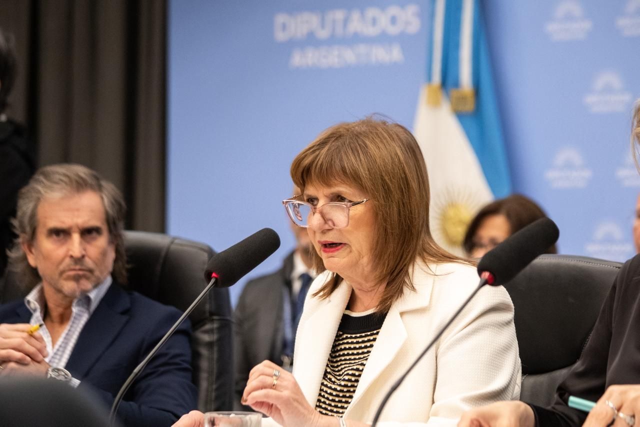 El Argentino Diario-Patricia Bullrich, Ministerio de Seguridad, Presupuesto 2026, Cámara de Diputados, seguridad, La Libertad Avanza, política criminal,