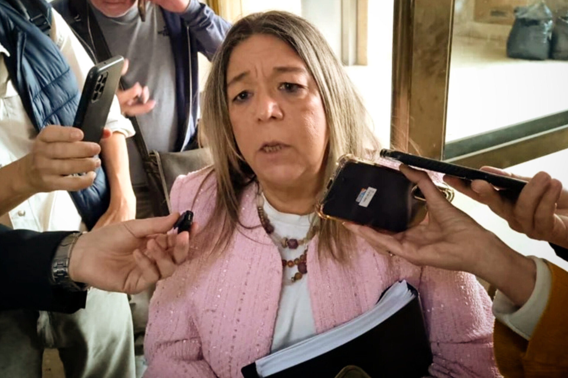 El Argentino Diario-Escribana de Adorni.