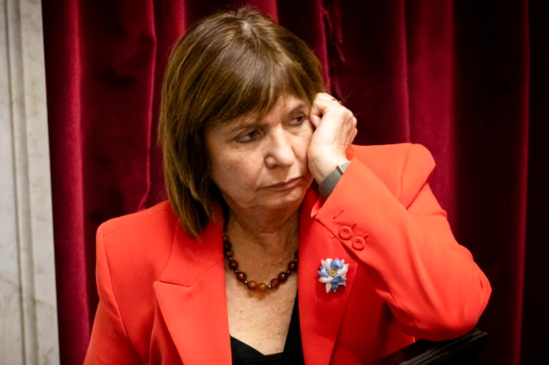 El Argentino Diario-Patricia Bullrich.