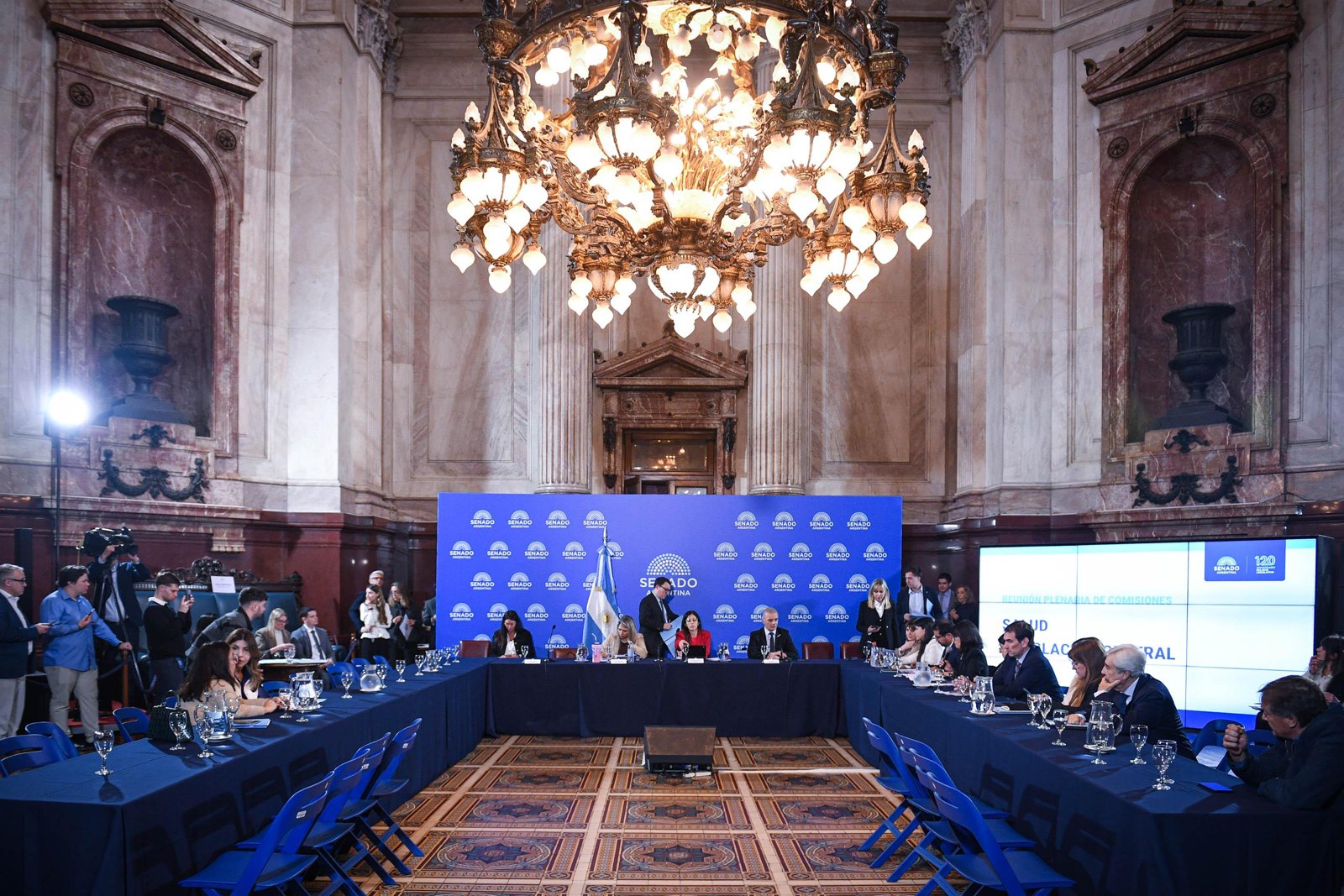 Plenario de comisiones del Senado en el Salón Azul